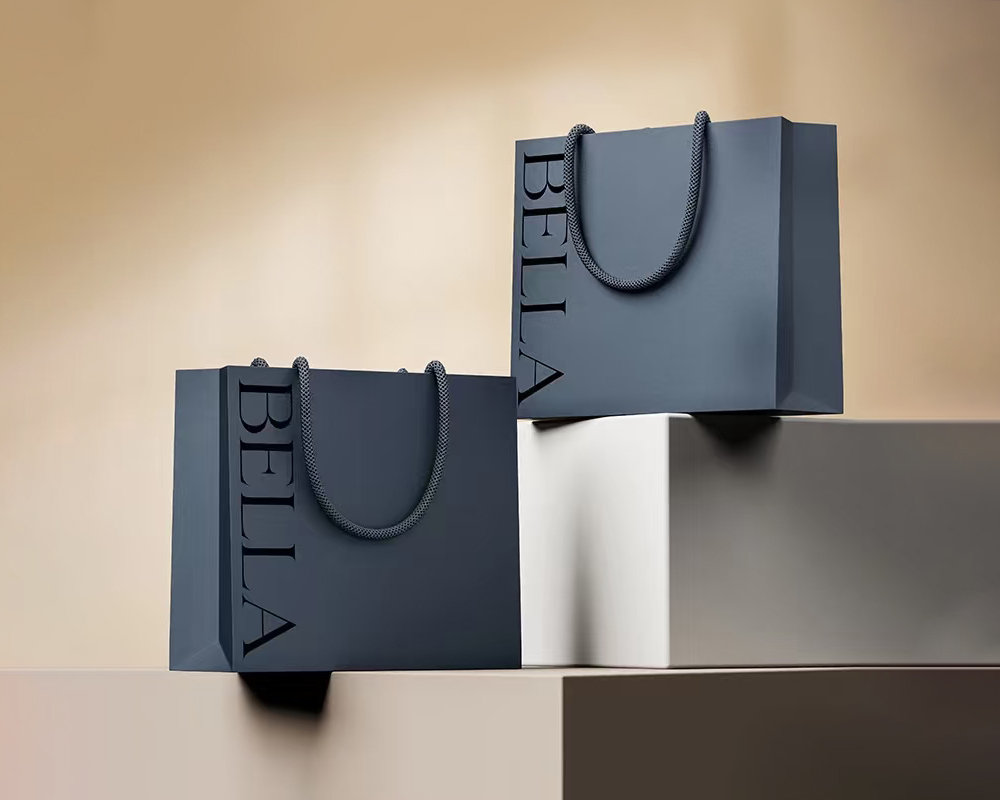Factory Printed Luxury Paper Shopping Bag With Low Price